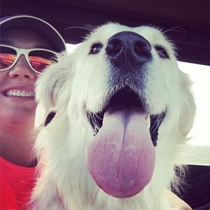 Meet your Posher, Mrs